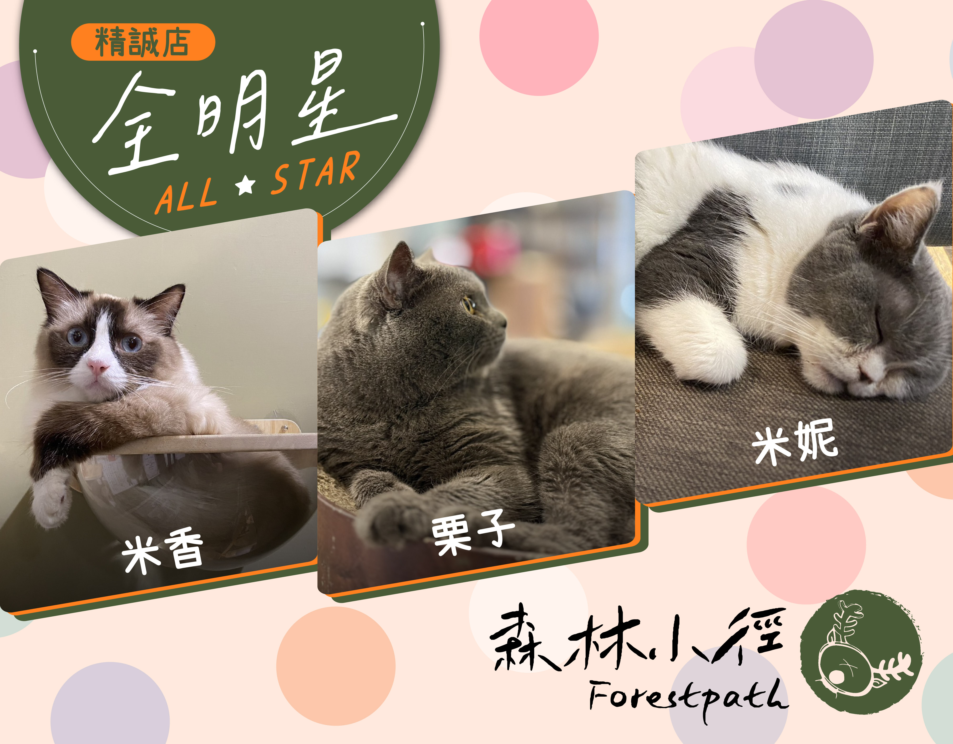森林小徑餐廳精誠店的明星