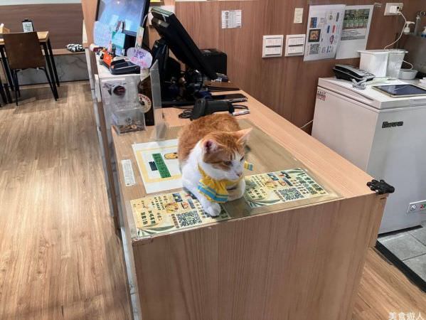 森林小徑文心店对宠物超友善